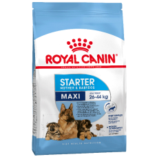 Maxi Starter Royal Canin